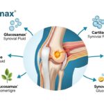 Glucosamax Explained: How It Supports Joint Health