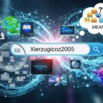 Xierzugicoz2005: Internet Searches, Meaning, and Insights