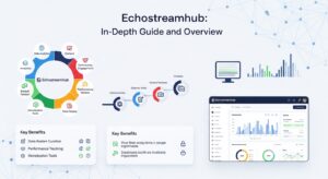 Echostreamhub